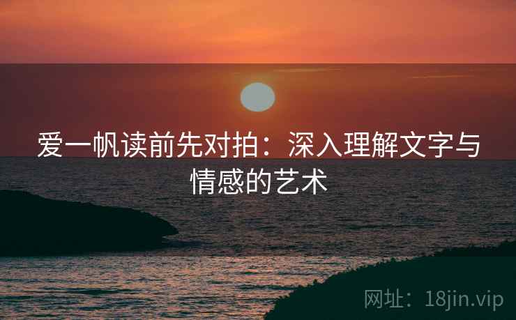 爱一帆读前先对拍：深入理解文字与情感的艺术