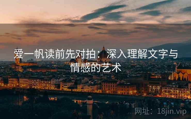 爱一帆读前先对拍：深入理解文字与情感的艺术