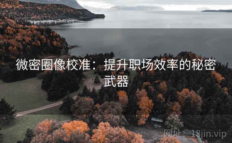 微密圈像校准：提升职场效率的秘密武器